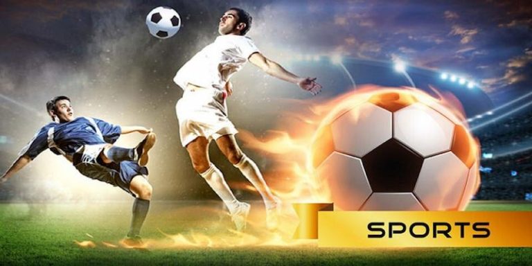 win575 Descubra o vibrante mundo dos esportes online em